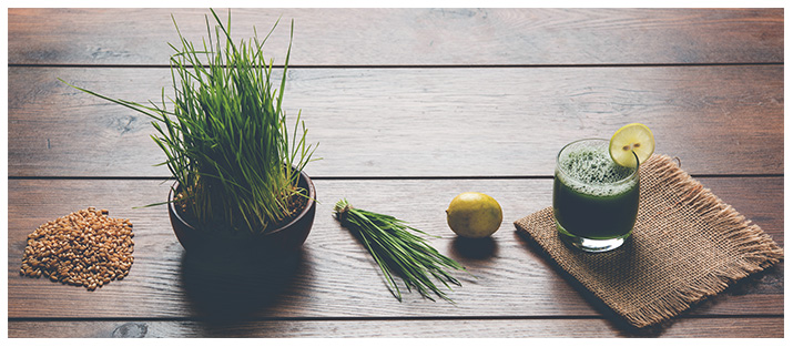 Why is wheat grass good for you